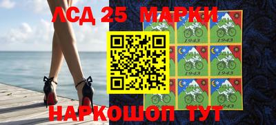 индика Донецк