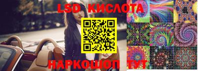 PSILOCYBIN Донской