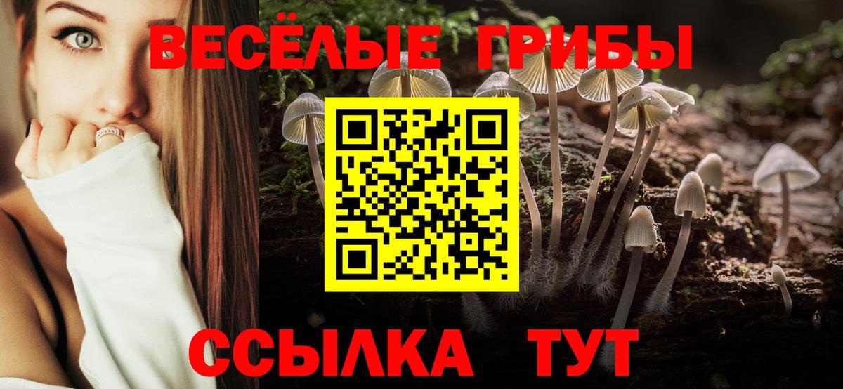 Галлюциногенные грибы Cubensis Набережные Челны
